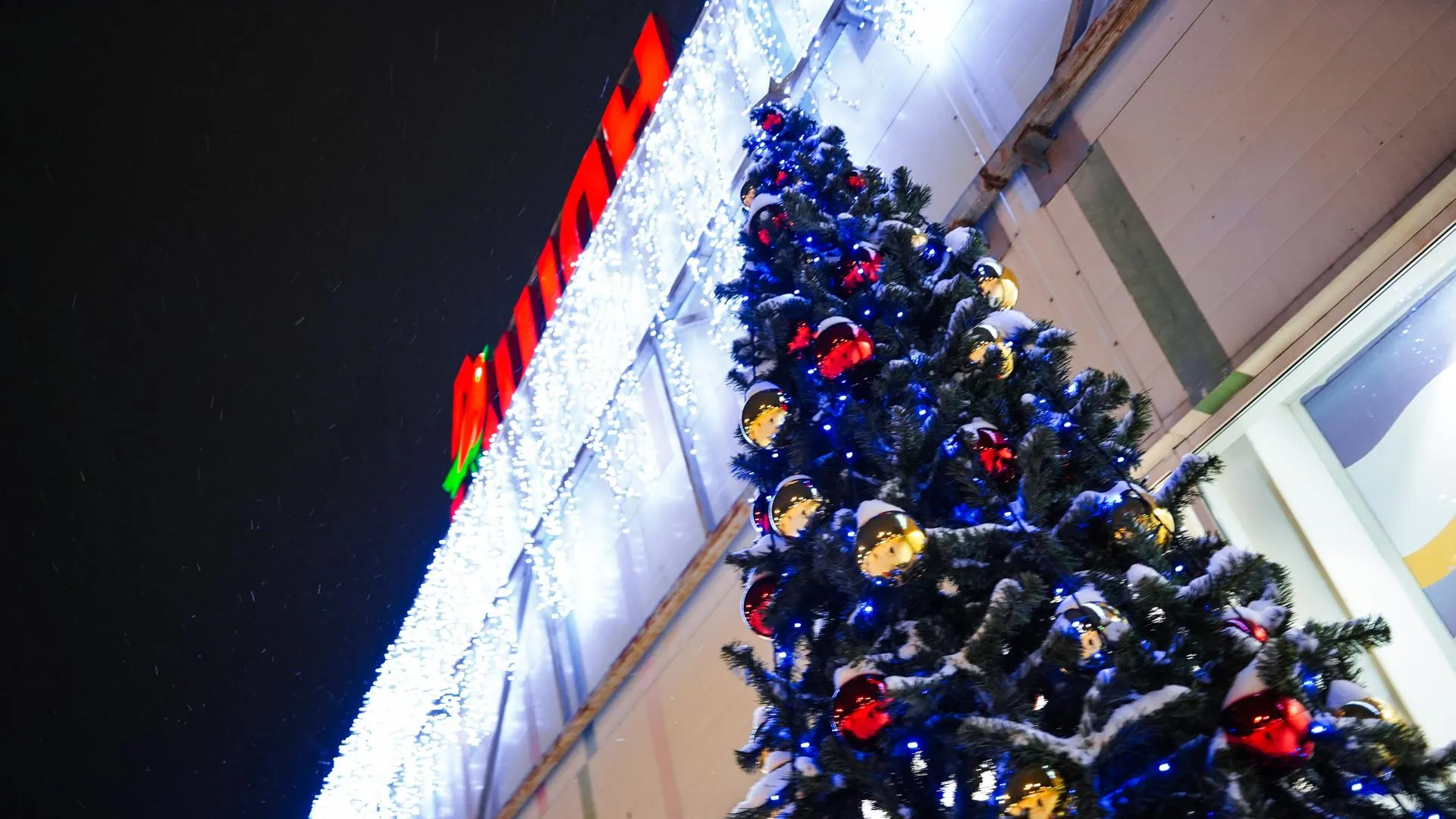 Фото: Даниил Коблов