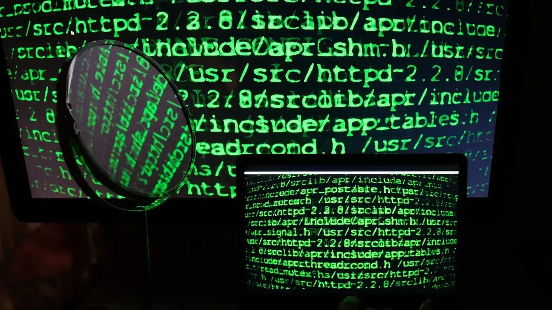 Наталья Селиверстова/РИА "Новости"