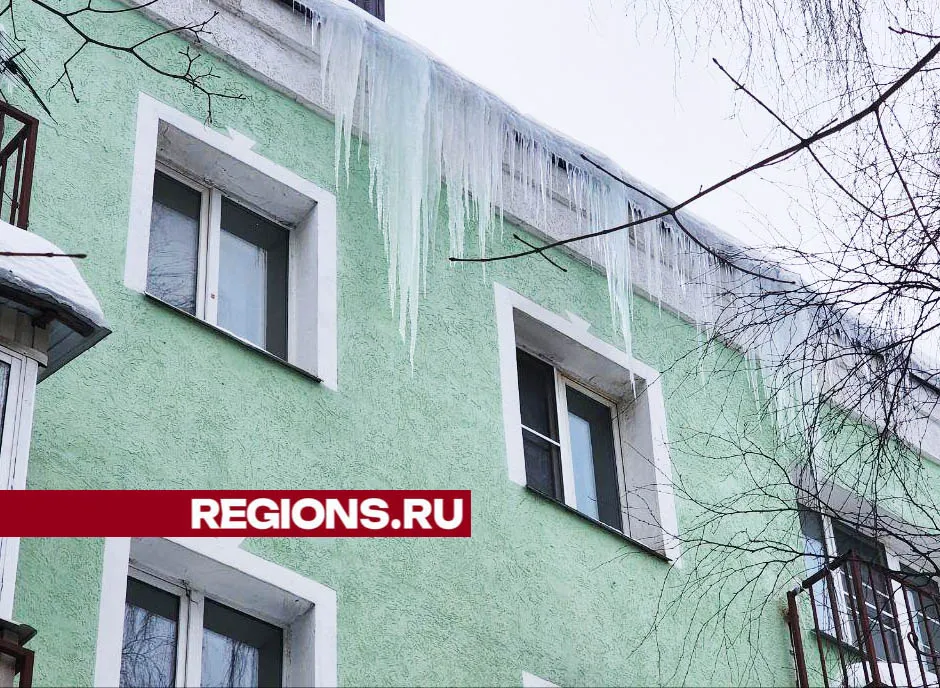 Фото: Валерия Тингаева