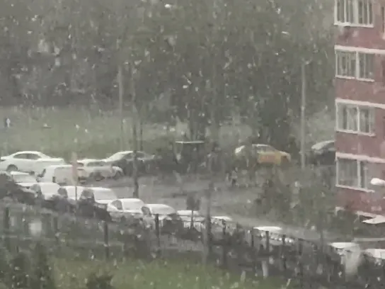 Фото: t.me/schelk_city