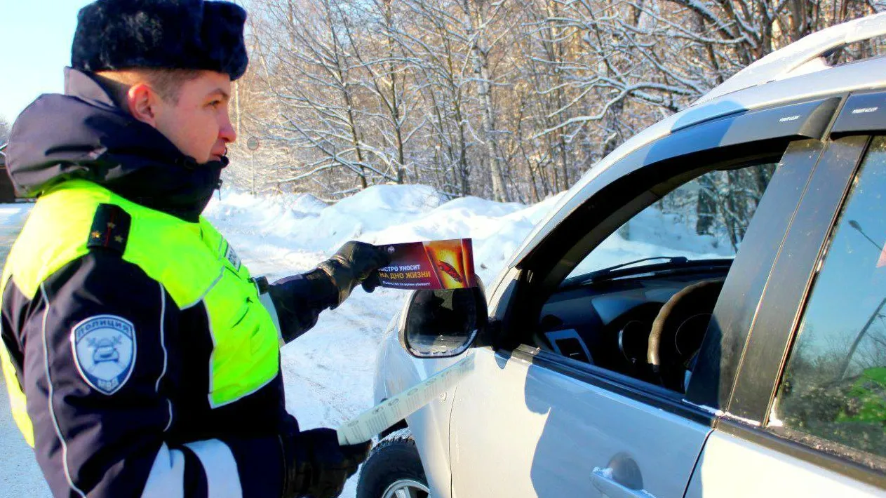 Фото: Госавтоинспекция Московской области