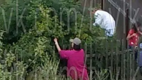 Чужой огород обобрали женщины с детьми в Волоколамске
