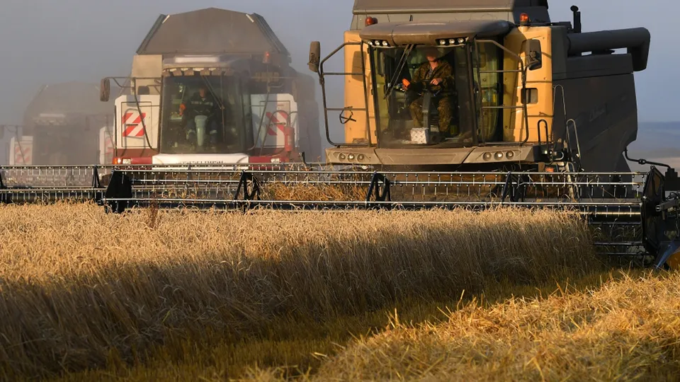 Фото: РИА Новости/Илья Наймушин