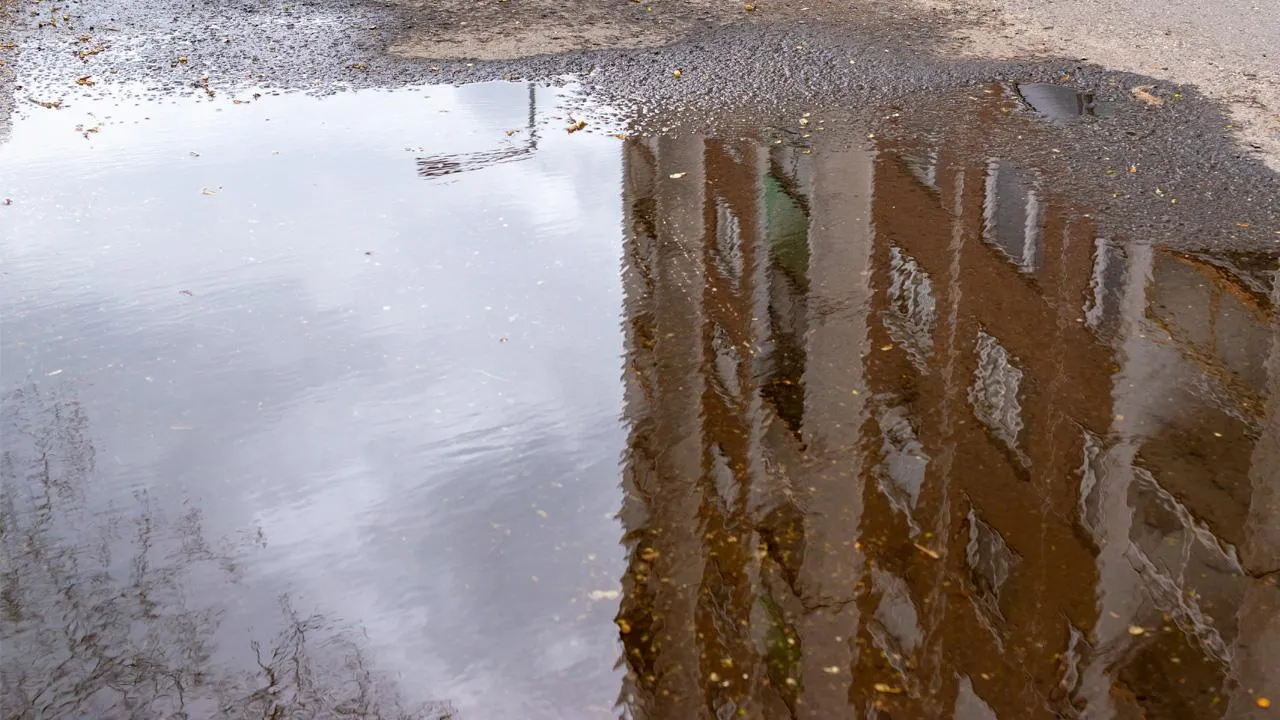 istockphoto.com/Daniel Tamas Mehes