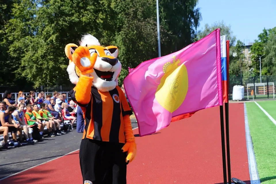 Фото: пресс-служба Администрации г.о. Воскресенск