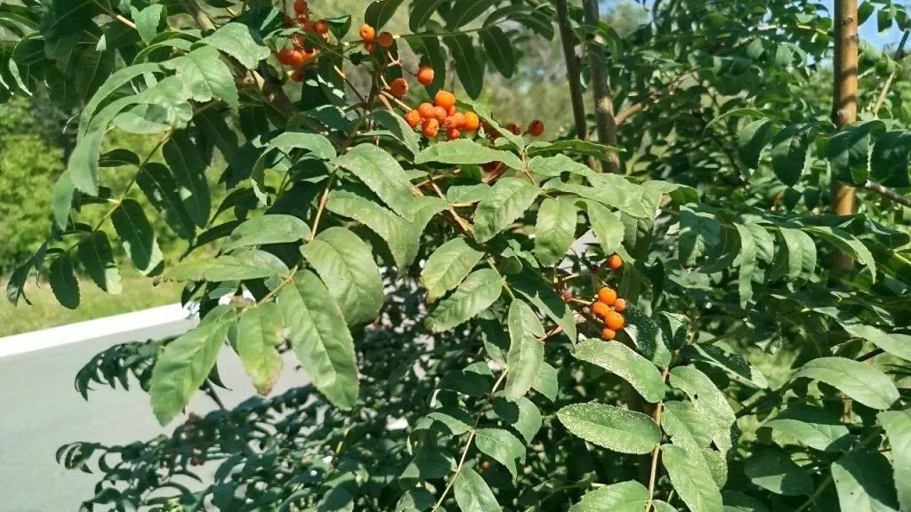 Фото: REGIONS/Юлия Куделькина