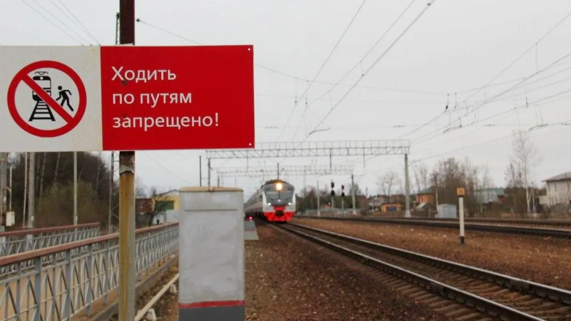 Источник фото: Министерство транспорта и дорожной инфраструктуры Московской области