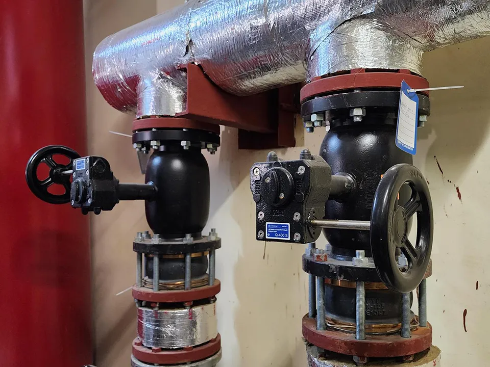 Фото: Ольга Фельдфебелева