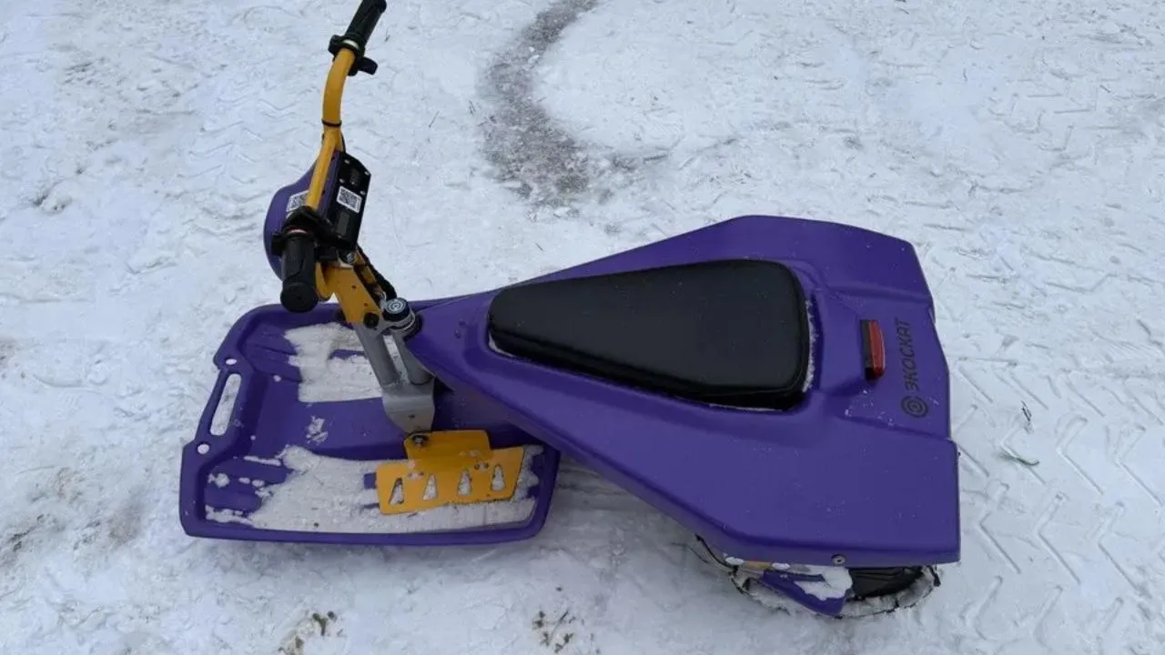 МедиаБанк Подмосковье/Анна Сполохова