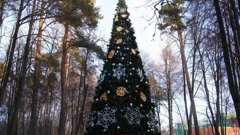 Фото: t.me/parkikrasnogorska_official