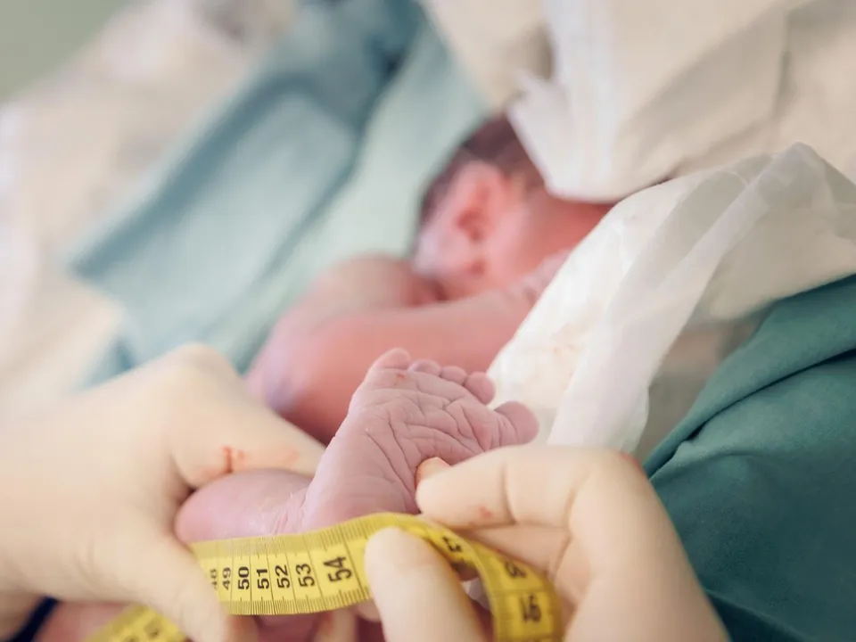 Фото: Люберецкого родильного дома Московского областного центра охраны материнства и детства&nbsp;