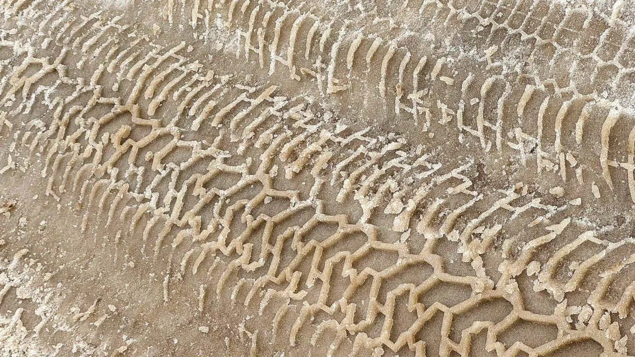 REGIONS/Владимир Ерастов