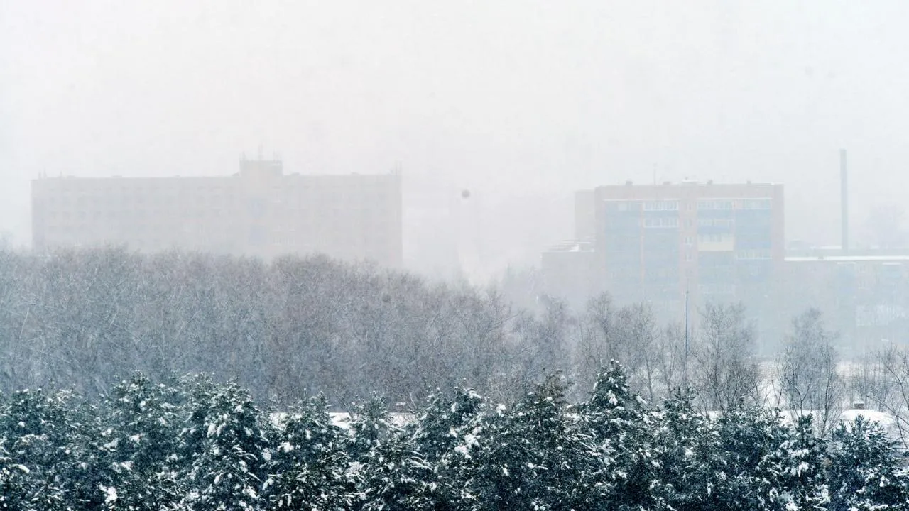 медиасток.рф