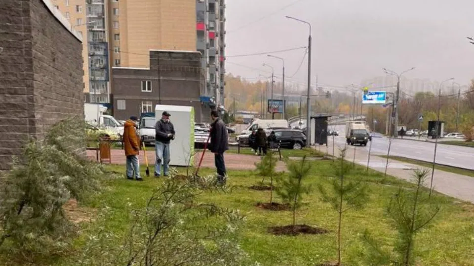 Фото: пресс-служба администрации г.о. Красногорск