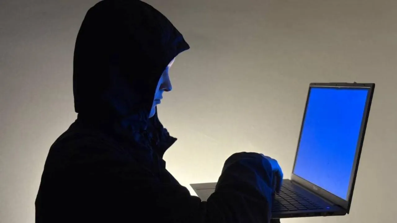 REGIONS/Полина Крачун