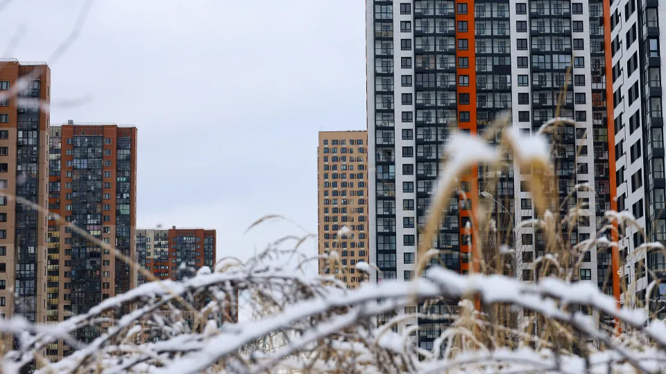 Фото: ТАСС/Олег Елков