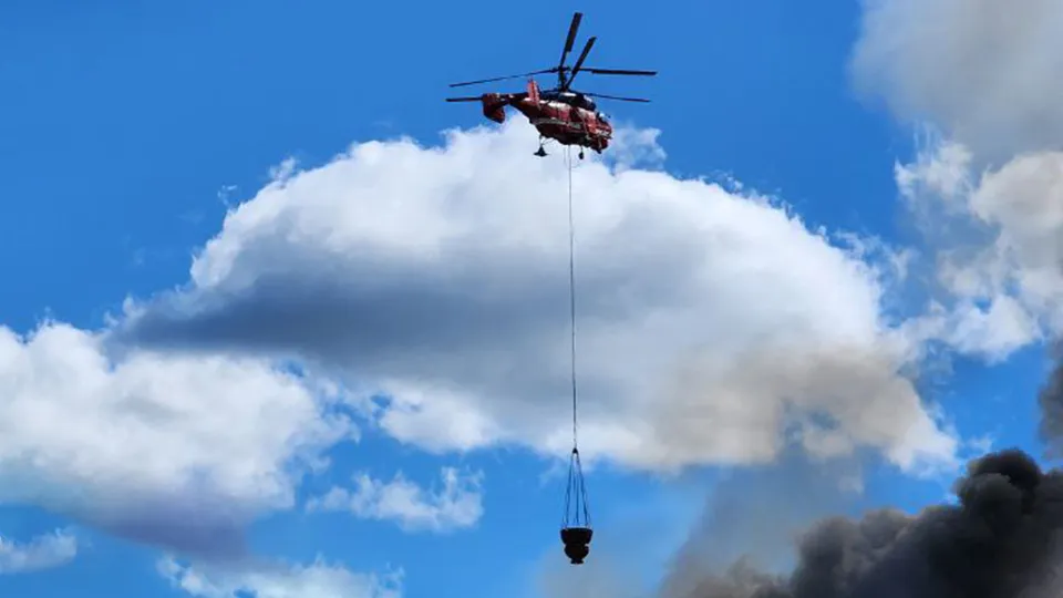 Фото: МедиаБанк Подмосковья/Надежда Егорова