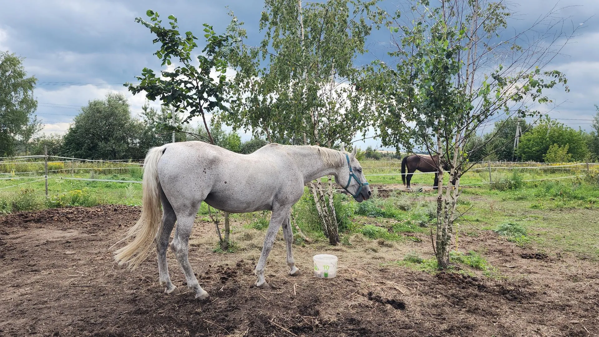 Фото: Ксения Пашуто