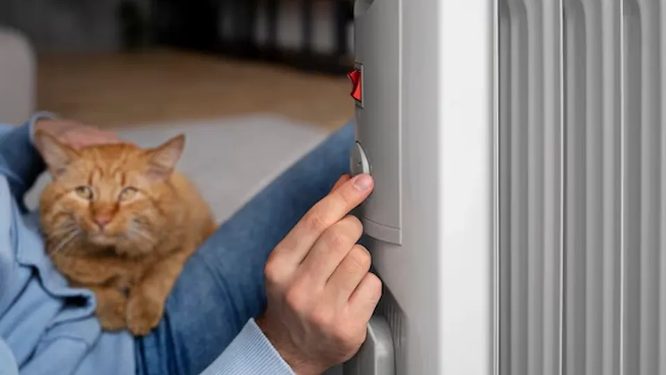 Фото: freepik.com