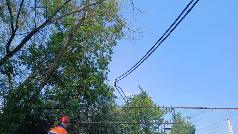 Фото: «Мособлэнерго»