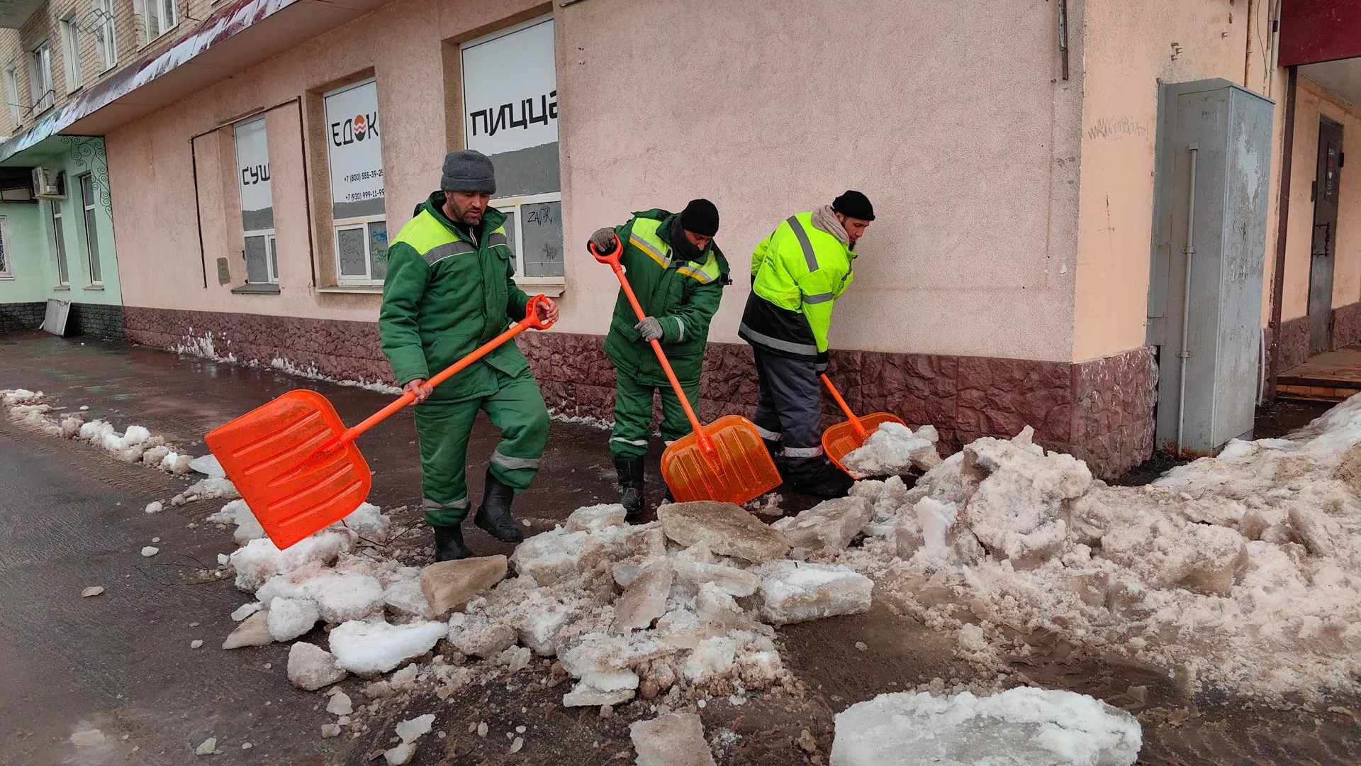 Елена Катасонова