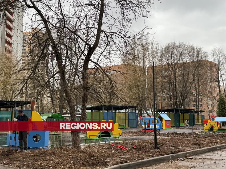 Фото: Мария Шматкова