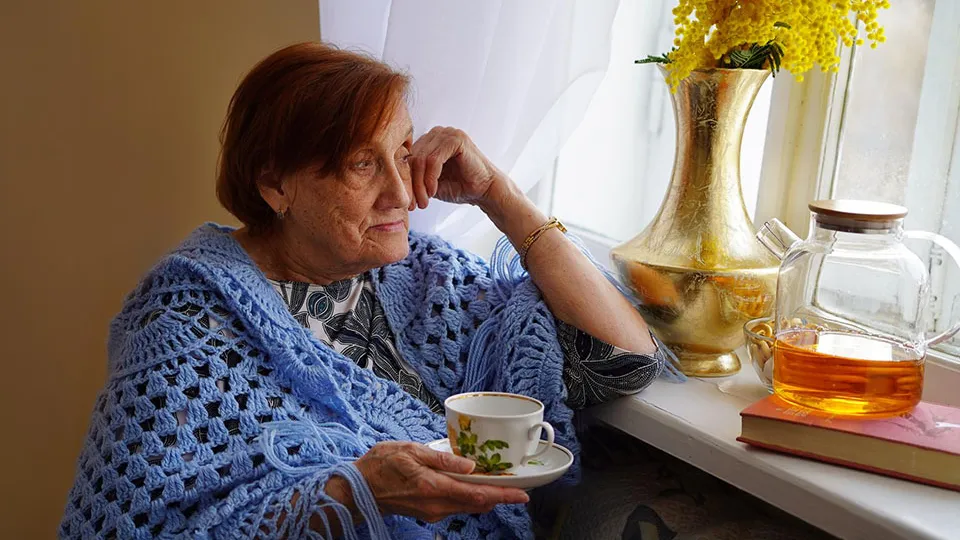 Фото: Минсоцразвития Подмосковья