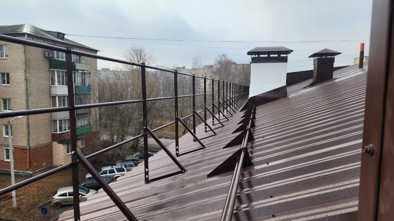 Фото: МедиаБанк Подмосковья/Юлия Скавронова