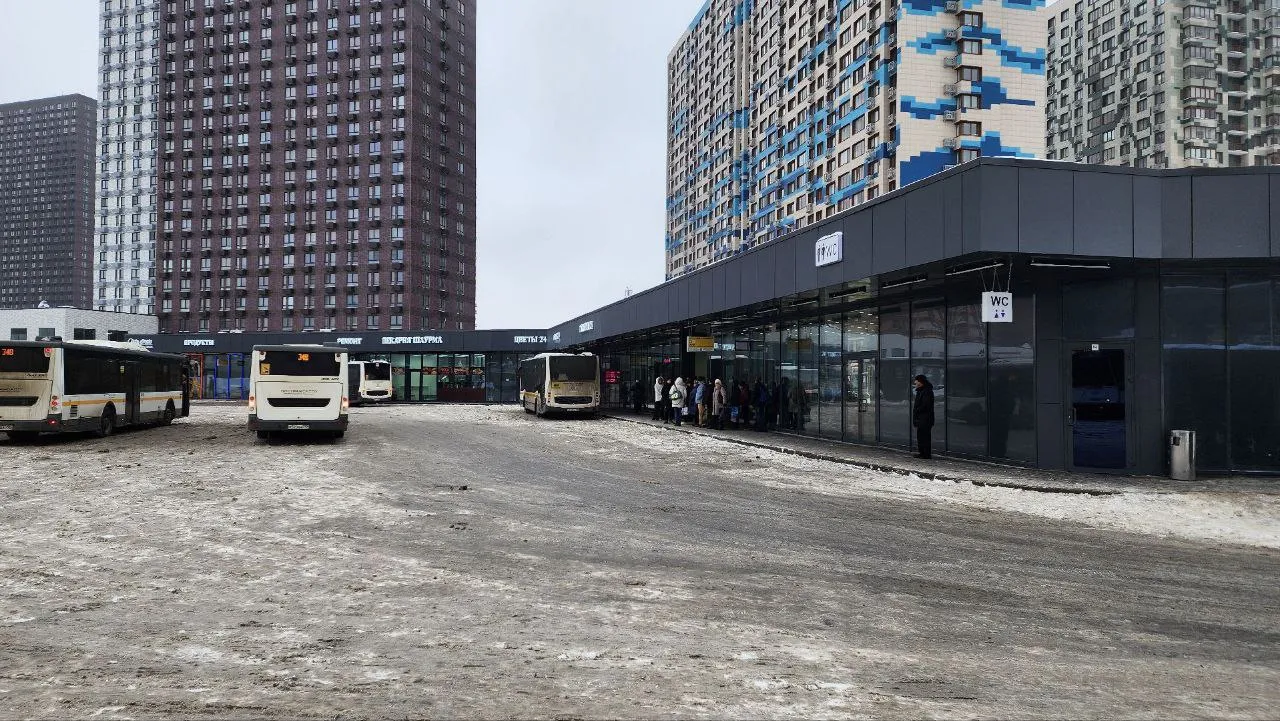 Картинка