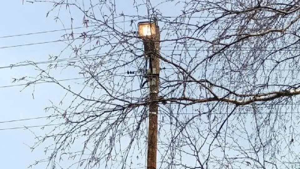 Фото: пресс-служба администрации г.о. Воскресенск