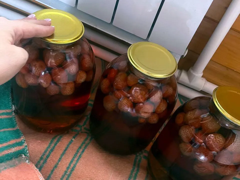 Фото: из личного архива Екатерины Галкиной