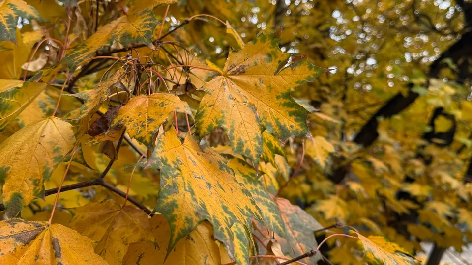 Фото: REGIONS/Валерия Ковешникова