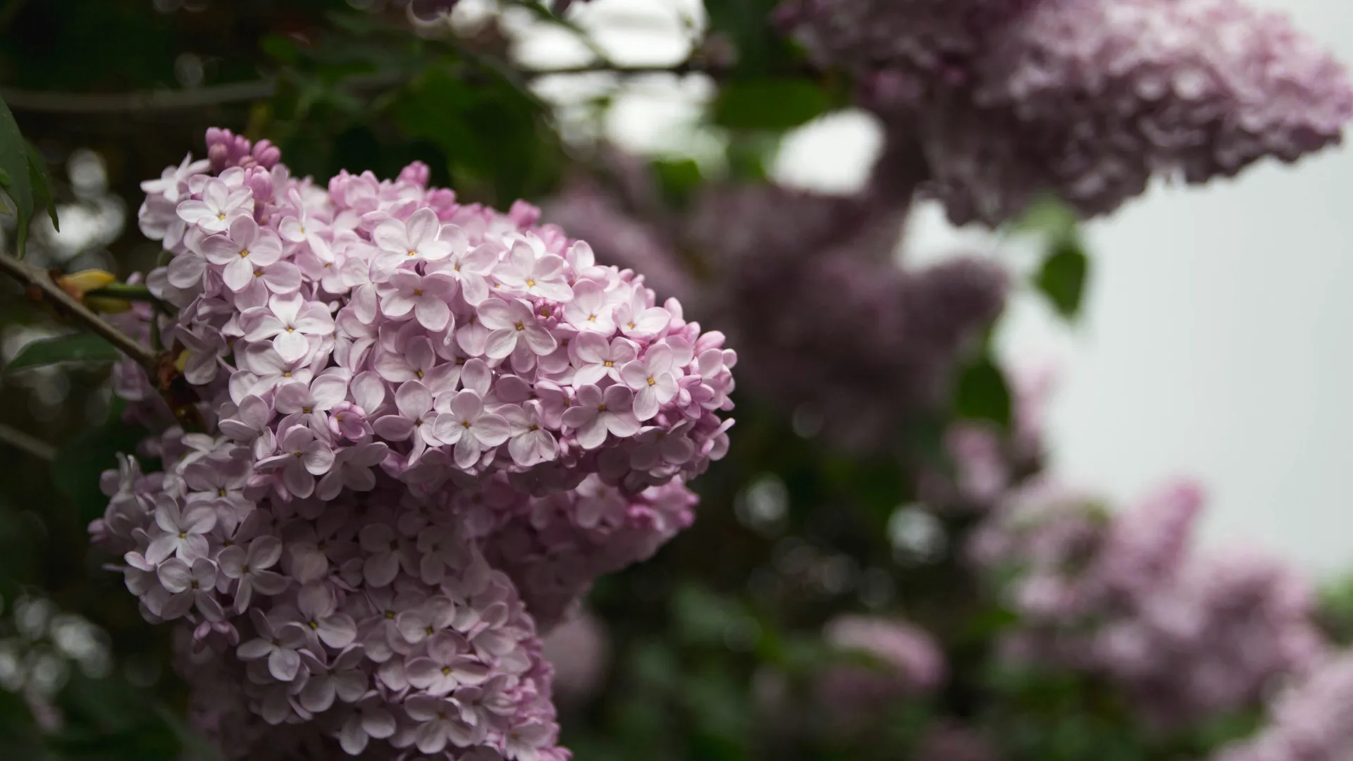 Фото: unsplash.com