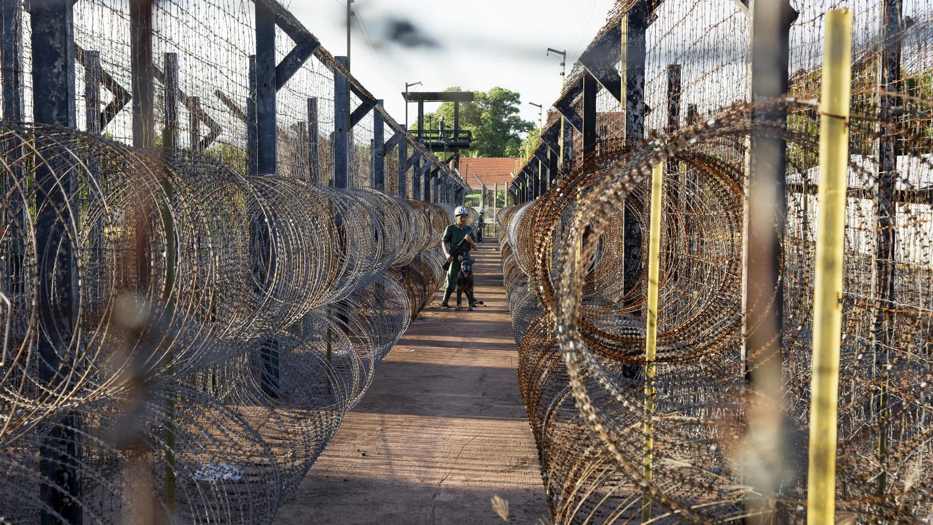 Aleksey Smyshlyaev/Global Look Press