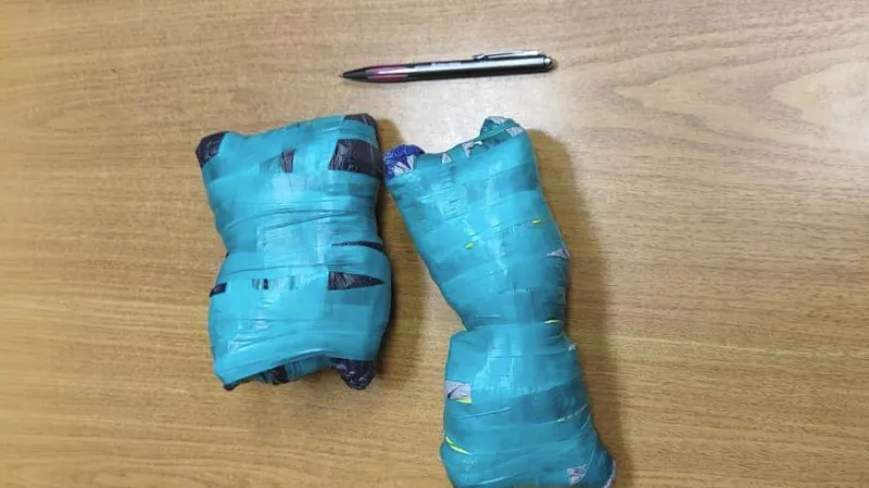 ГУ МВД России по Московской области