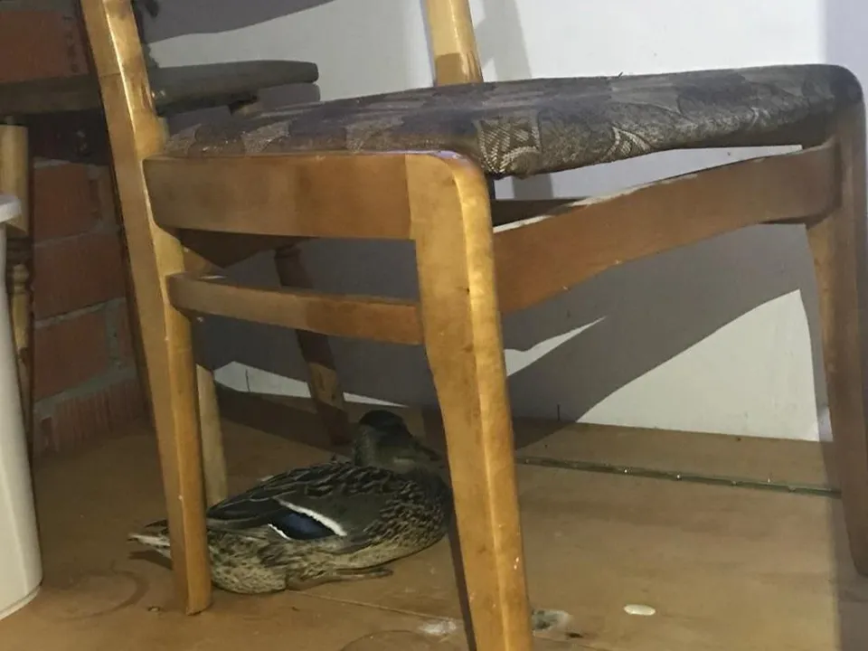 Фото: соцсети