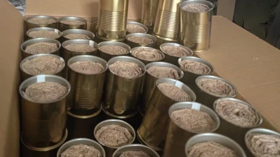 Фото: Центр «Доверие»