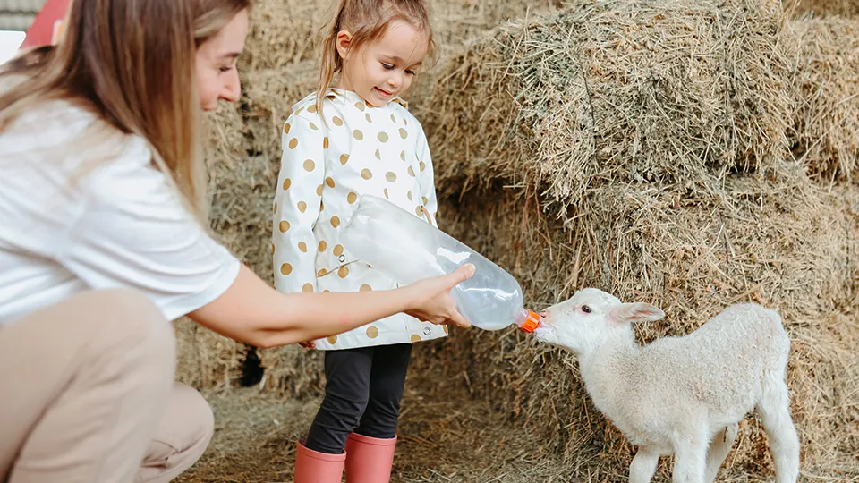 Фото: istockphoto.com