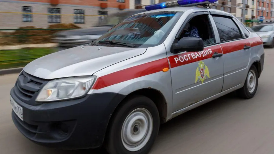 Фото: ГУ Росгвардии по МО