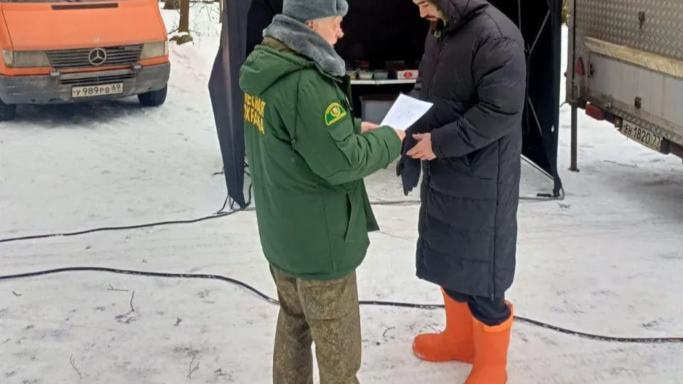 Фото: Комитет лесного хозяйства Московской области