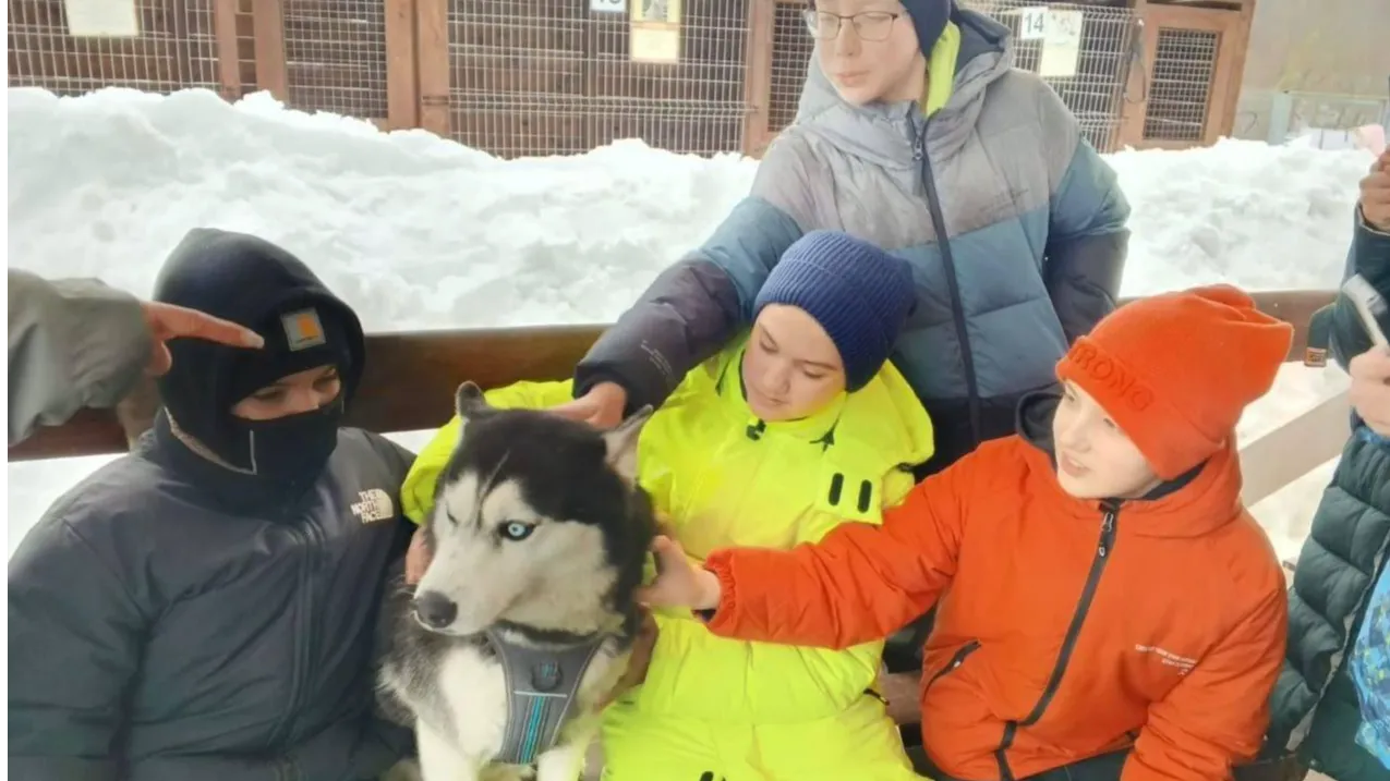 Источник: Министерство образования Московской области