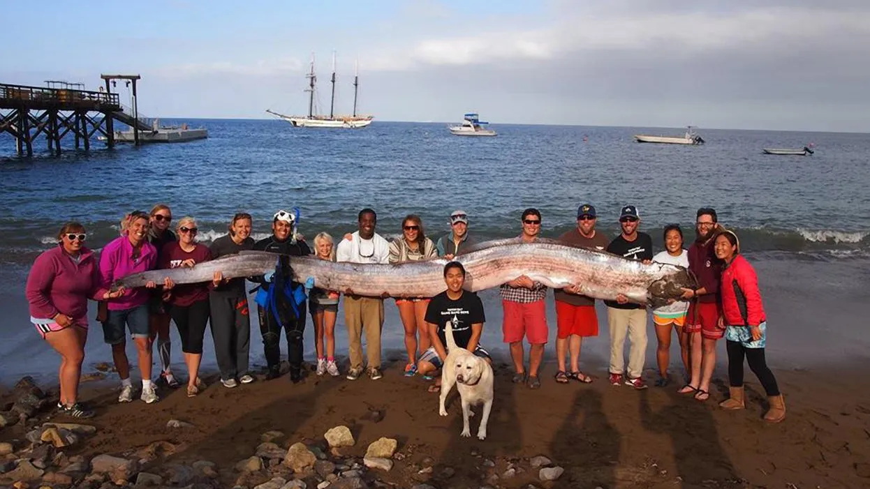 The Catalina Island Marine Insti/ZUMAPRESS.com