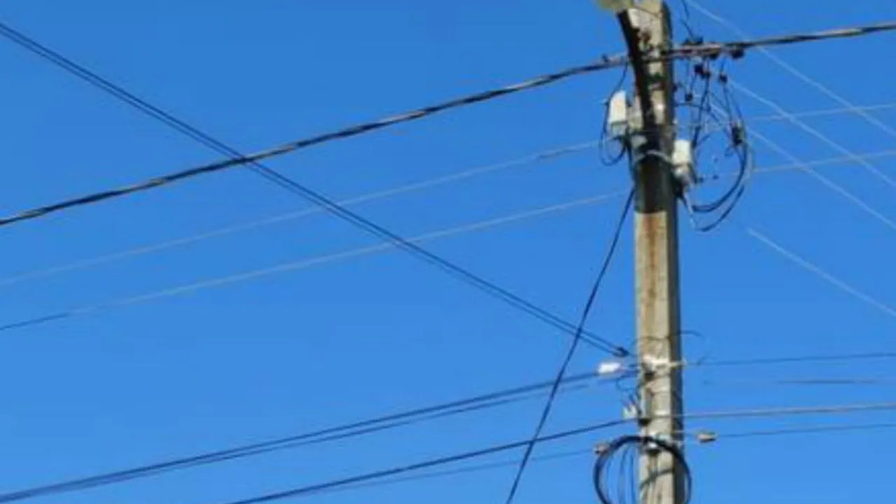 Фото: пресс-служба администрации Талдомского г.о.