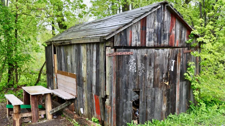 Фото: пресс-служба администрации Павлово-Посадского г.о.