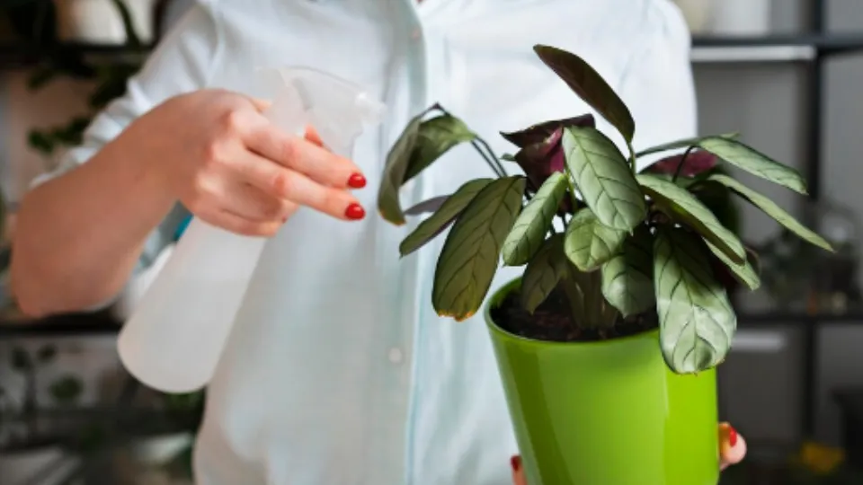 Фото: freepik.com