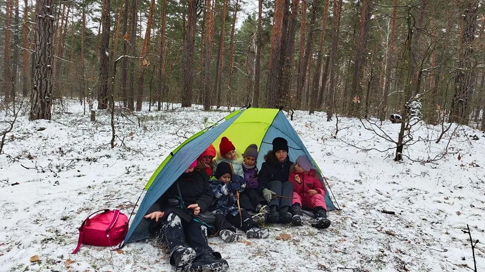 Фото: Комитет лесного хозяйства МО