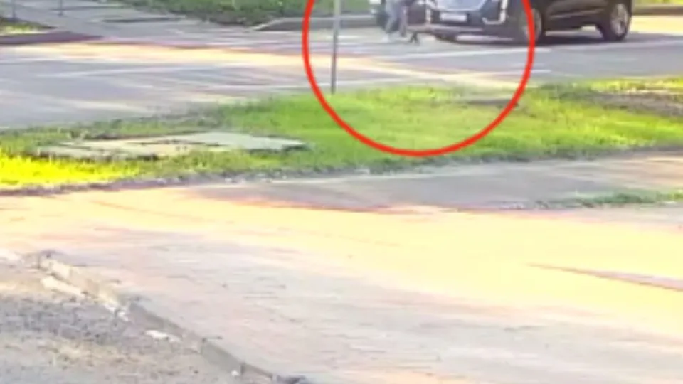 Фото: t.me/myluber