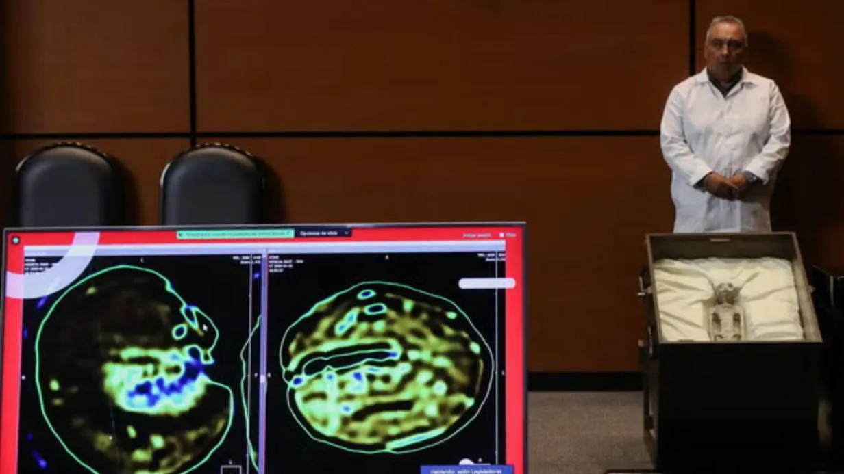 Фото: телеграм-канал Baza