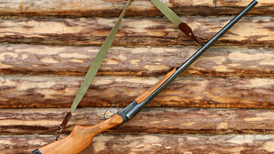 Фото: pxhere.com