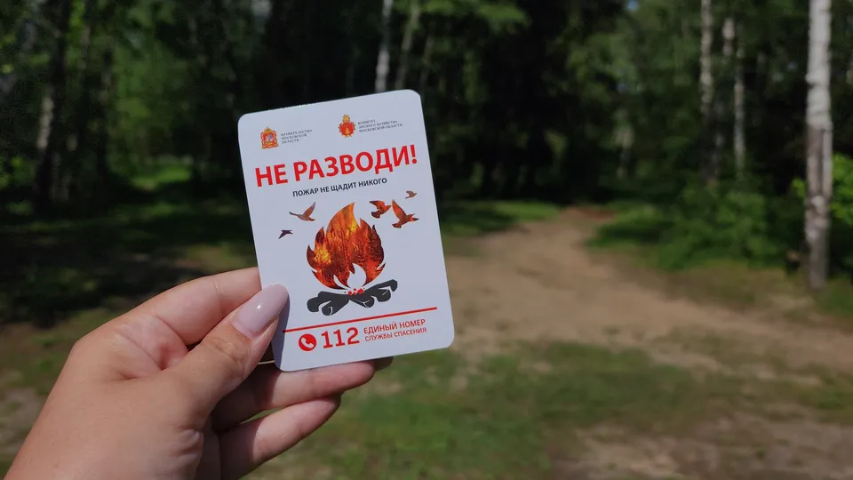 Фото: МедиаБанк Подмосковья/Валерия Тингаева